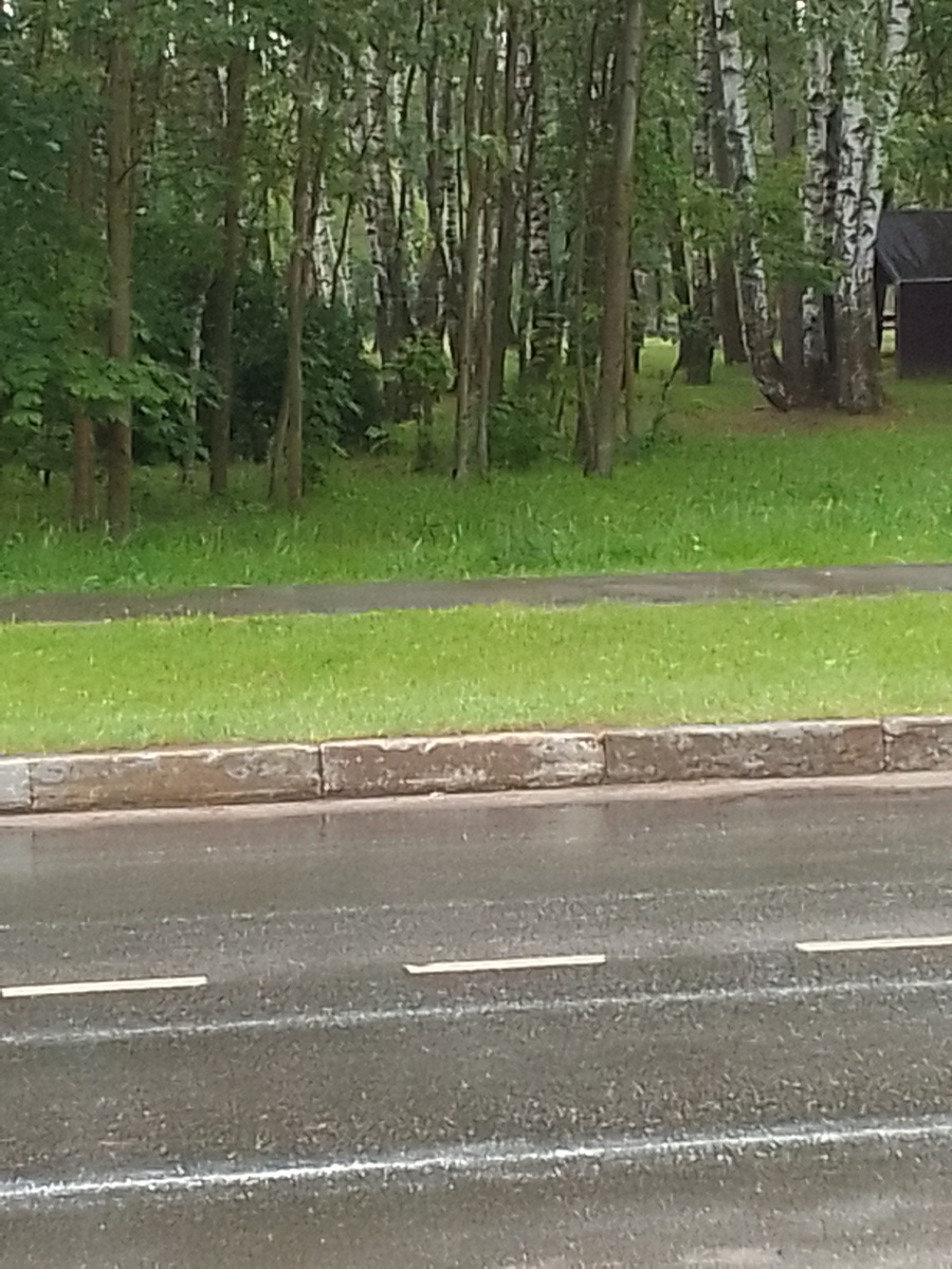 Парк и дорожка, где шла девушка. Фото автора