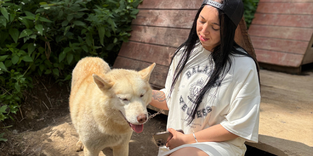 🐕Целый питомник сибирских собак я нашла в Шерегеше — в каюр-клубе «Сибирский след».