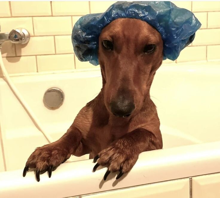 Ещё ни о чем не подозреваю