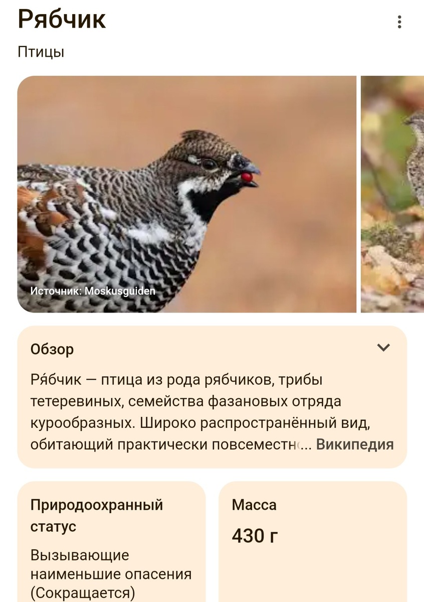 Скрин информации из Интернета