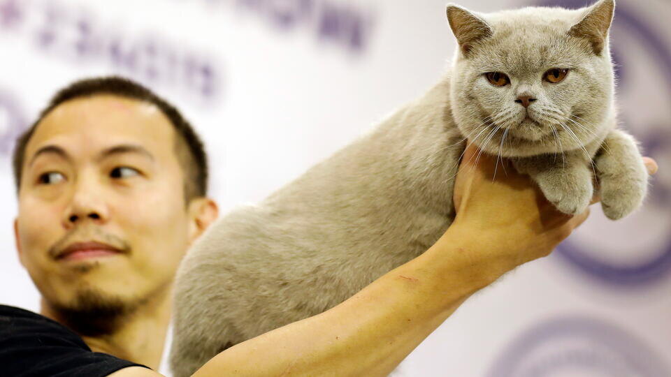 Фото: © LUONG THAI LINH/EPA/TASS