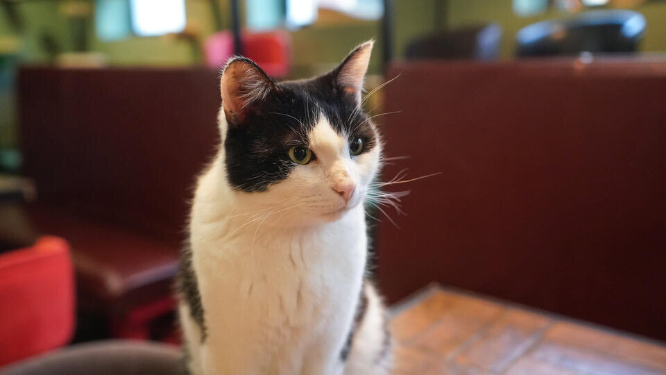 Фото: © ИЗВЕСТИЯ/Павел Волков