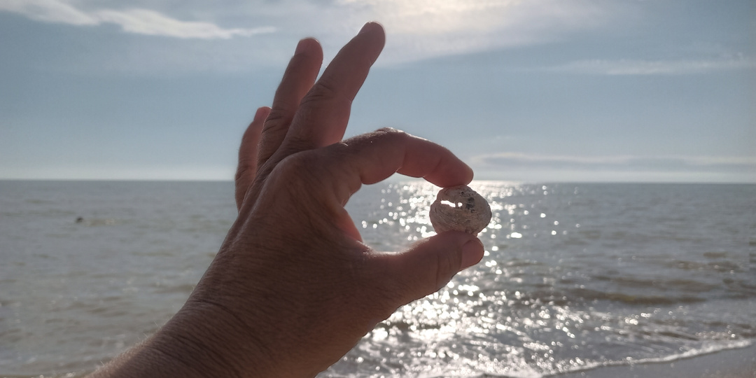 Я подключила Премиум. Всё, что было в открытом доступе - останется в открытом доступе!