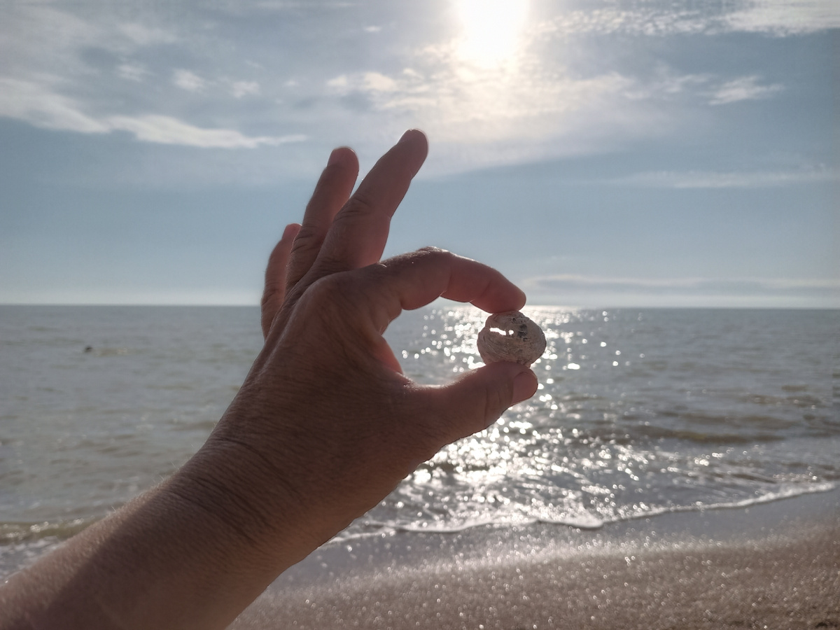 Остальные части тела - на премиуме)))