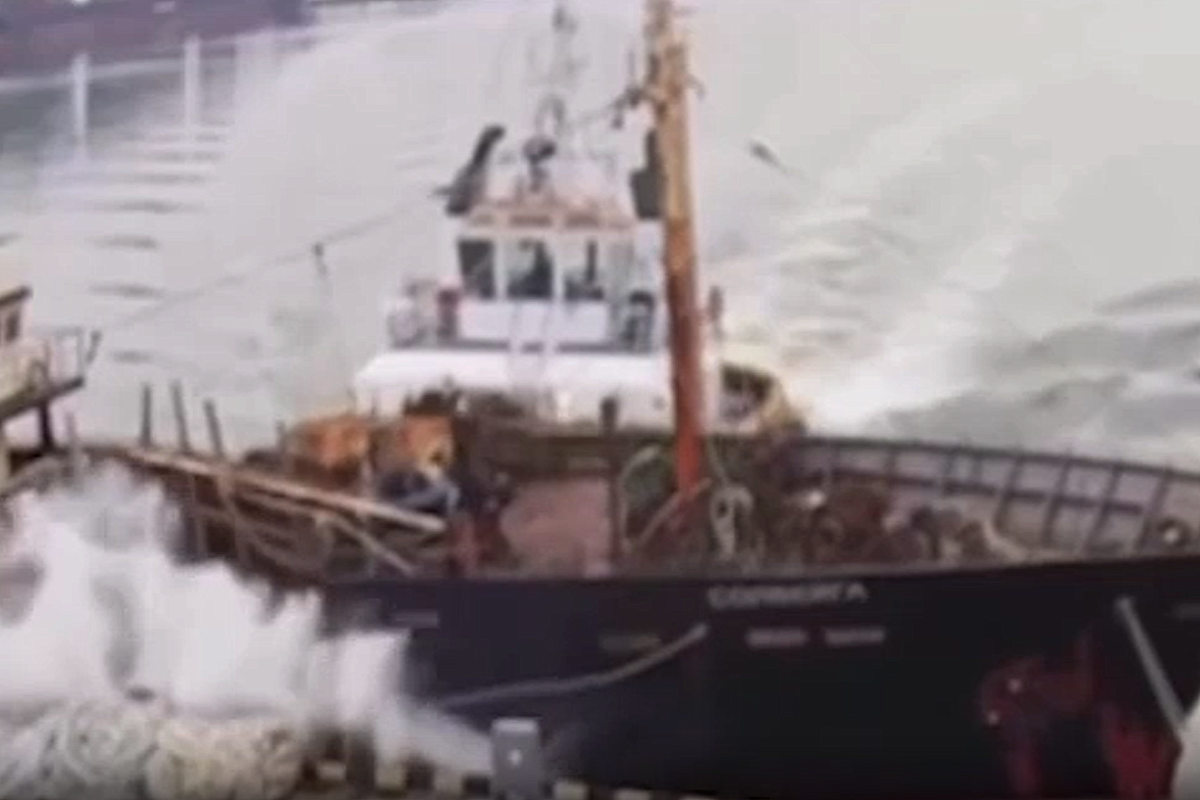     / Источник: Кадр из видео