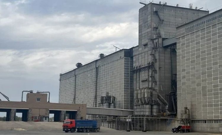    Фото: Минсельхоз Оренбургской области