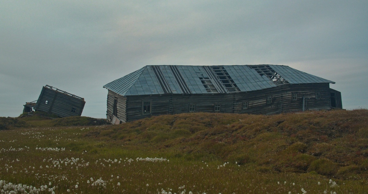 о. Котельный, Якутия, 2019. Фото www.rgo.ru
