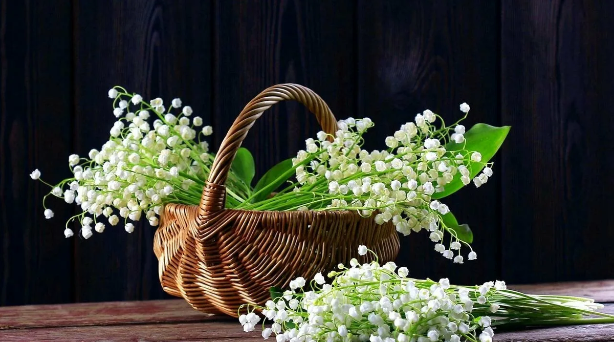 Из интернета.