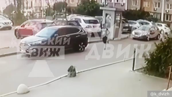     Фото: k_dvizh   
 Текст: Дарья Григоренко