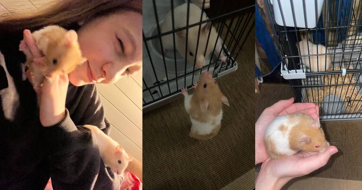 их общие фотки