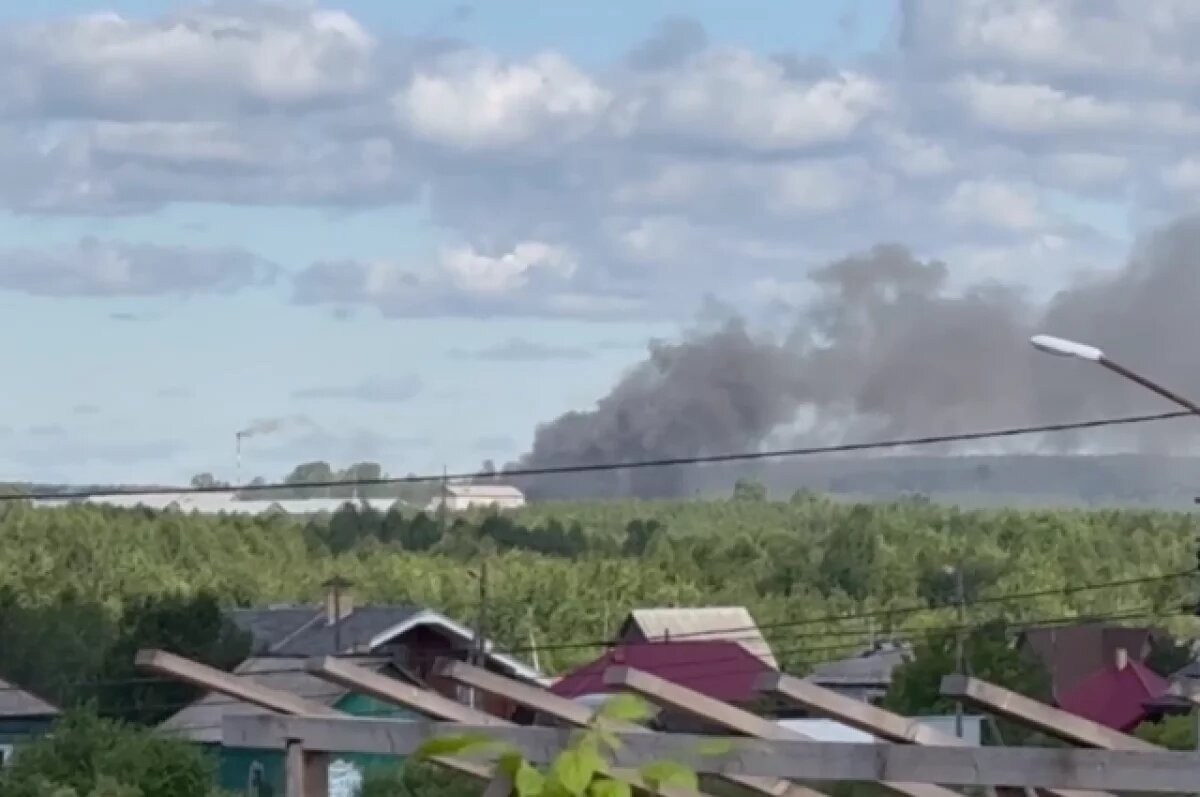    Дым над колонией заметили днём 10 июля