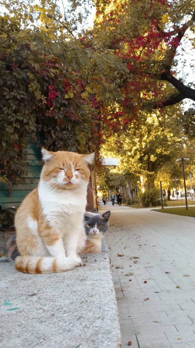    Батон чиллит с другом на углу. Фото: Из личного архива/ Родион Нуралиев