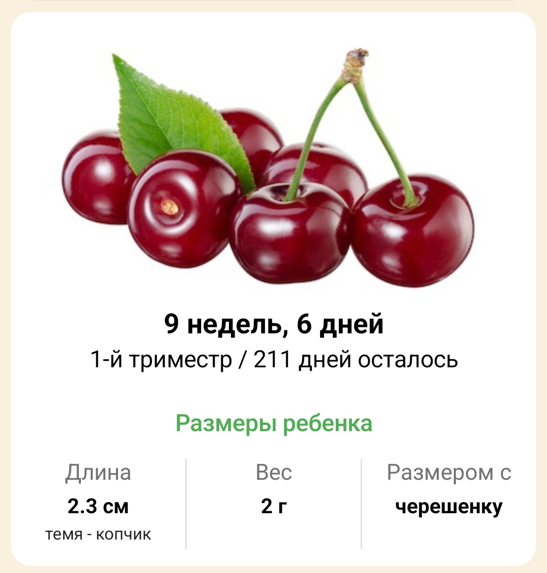 На этом этапе приложение было удалено 