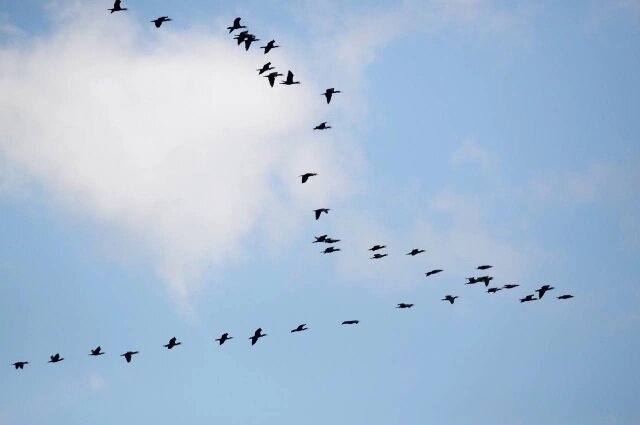    Фото: Из личного архивa/ Ксения Калинина