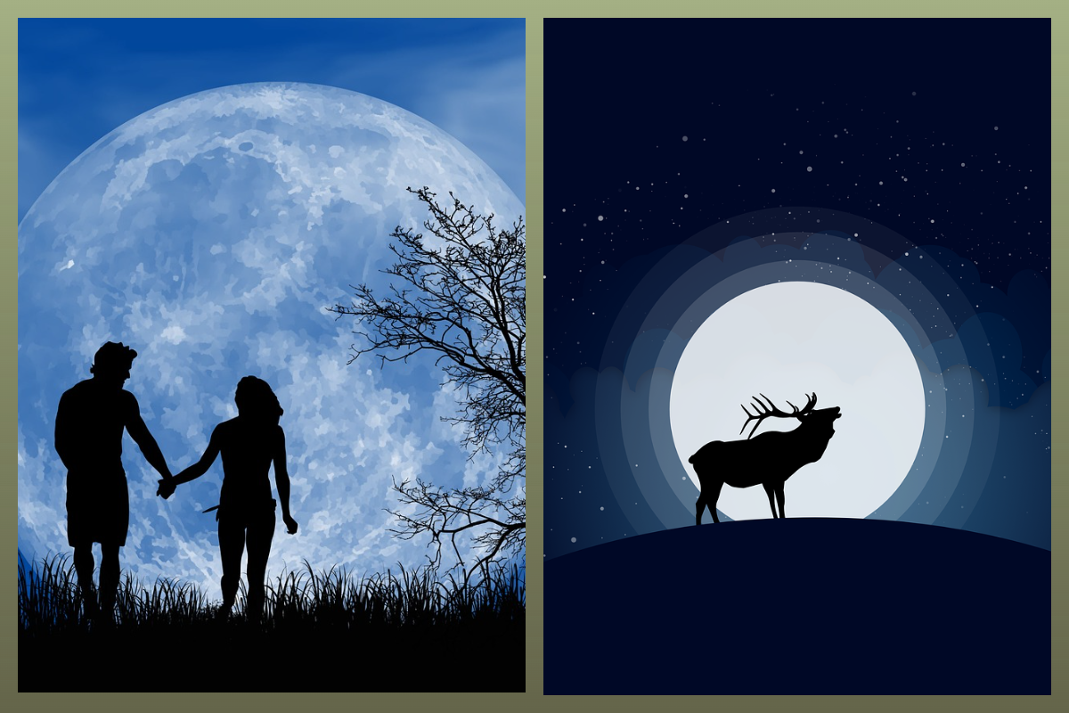Оленье Полнолуние/pixabay.com