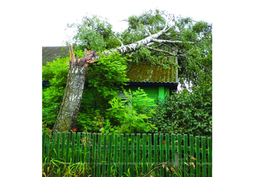     От поджога до стихии: сводка чрезвычайных происшествий