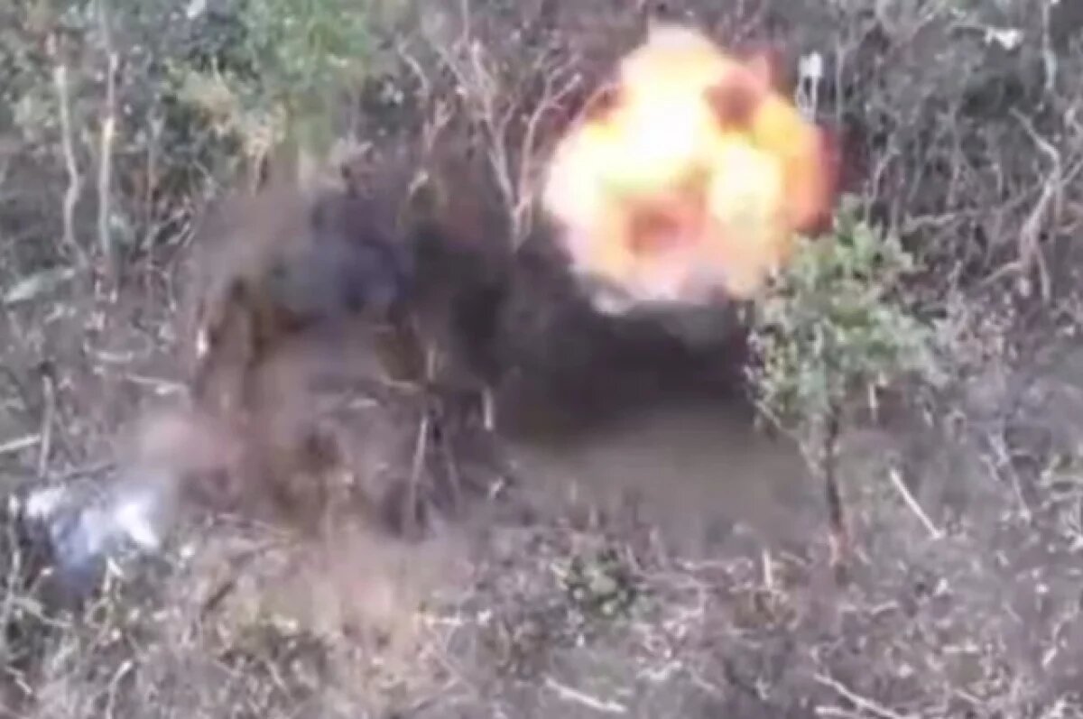    Враг был вовремя обнаружен и по диверсантам нанесли комбинированный удар.