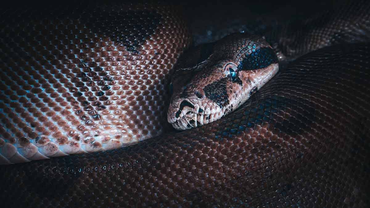    Фото: Pexels