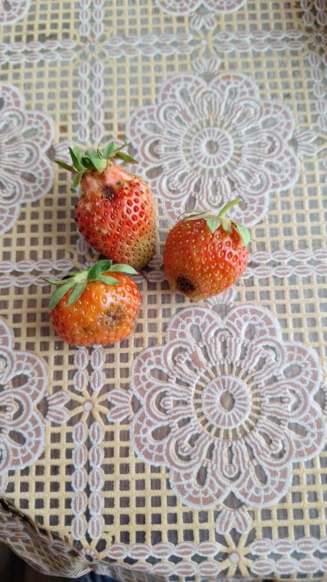 Возникла такая проблема