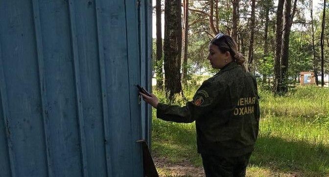    Комитет лесного хозяйства Московской области