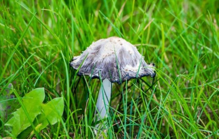 Источник фото: фото из открытых источников - для иллюстрации