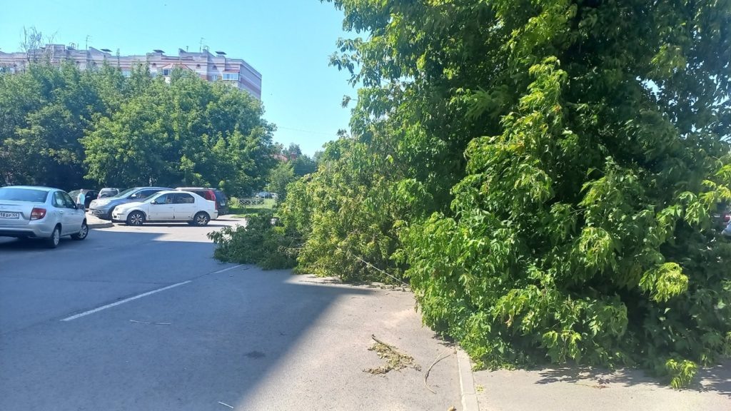    Фото: Logos44.ru