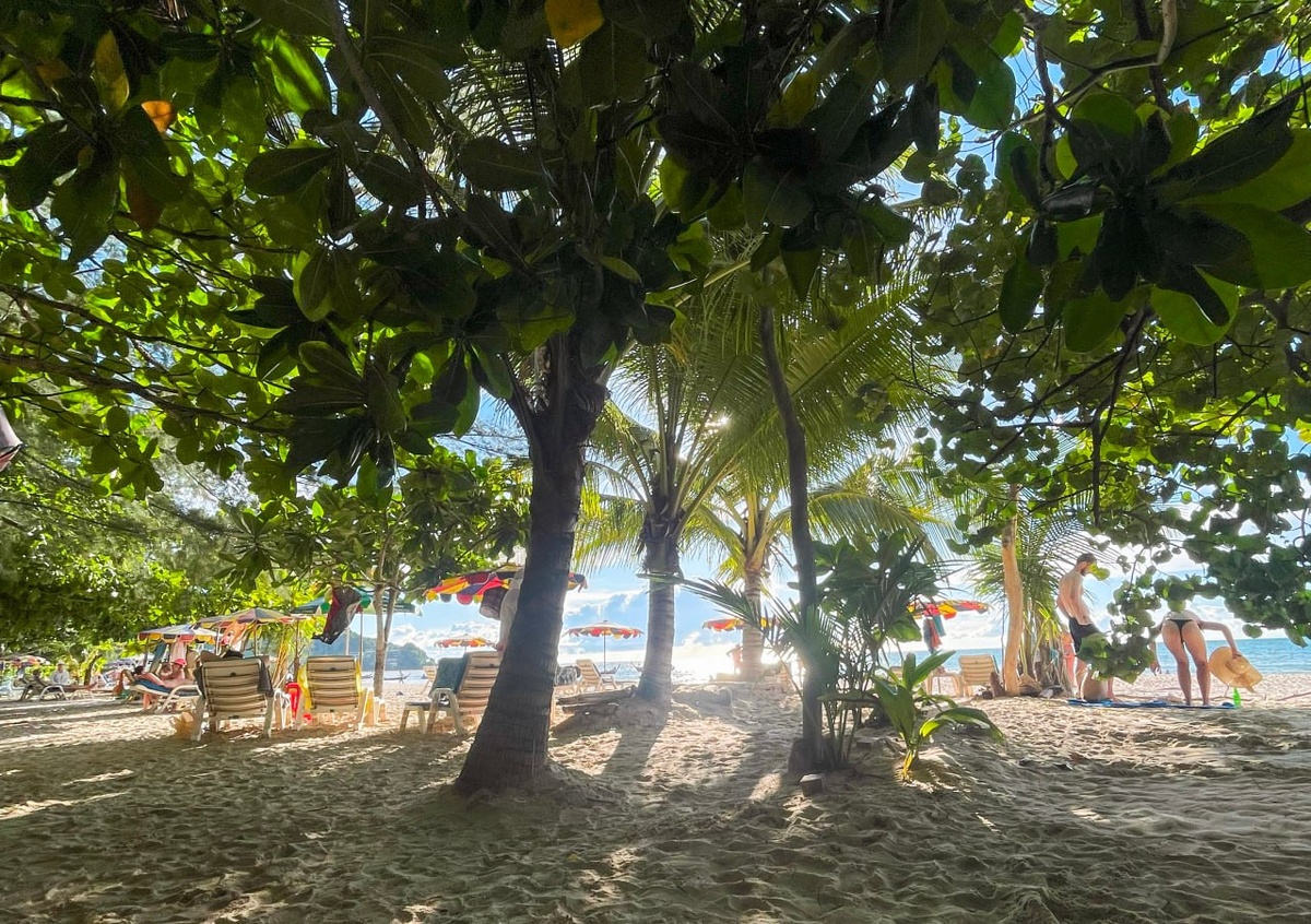    © Константин Долгановский