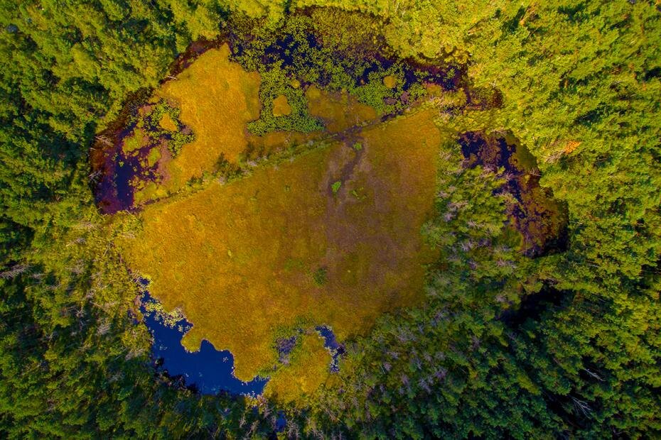    Shutterstock/FOTODOM