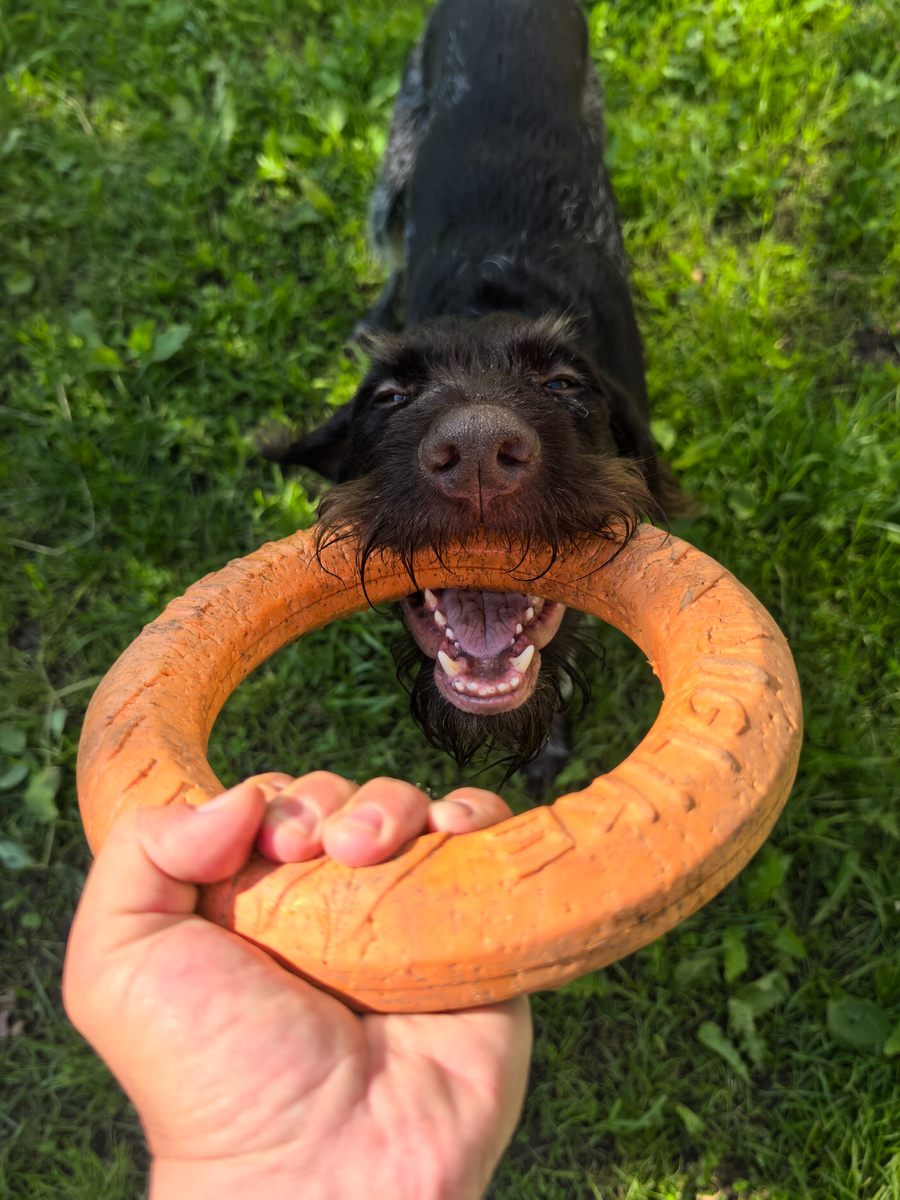 В минуты без дождя можно и подурачиться с Косом