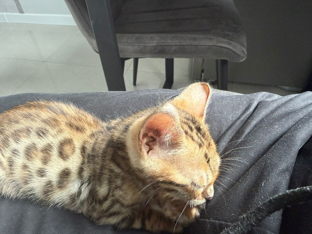 Малюсенькая девочка)))