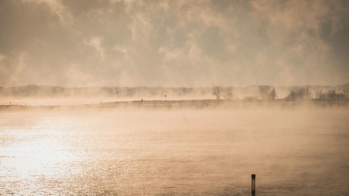     Источник: novostivolgograda.ru