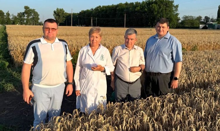    Фото: Национальный центр зерна им. П.П. Лукьяненко