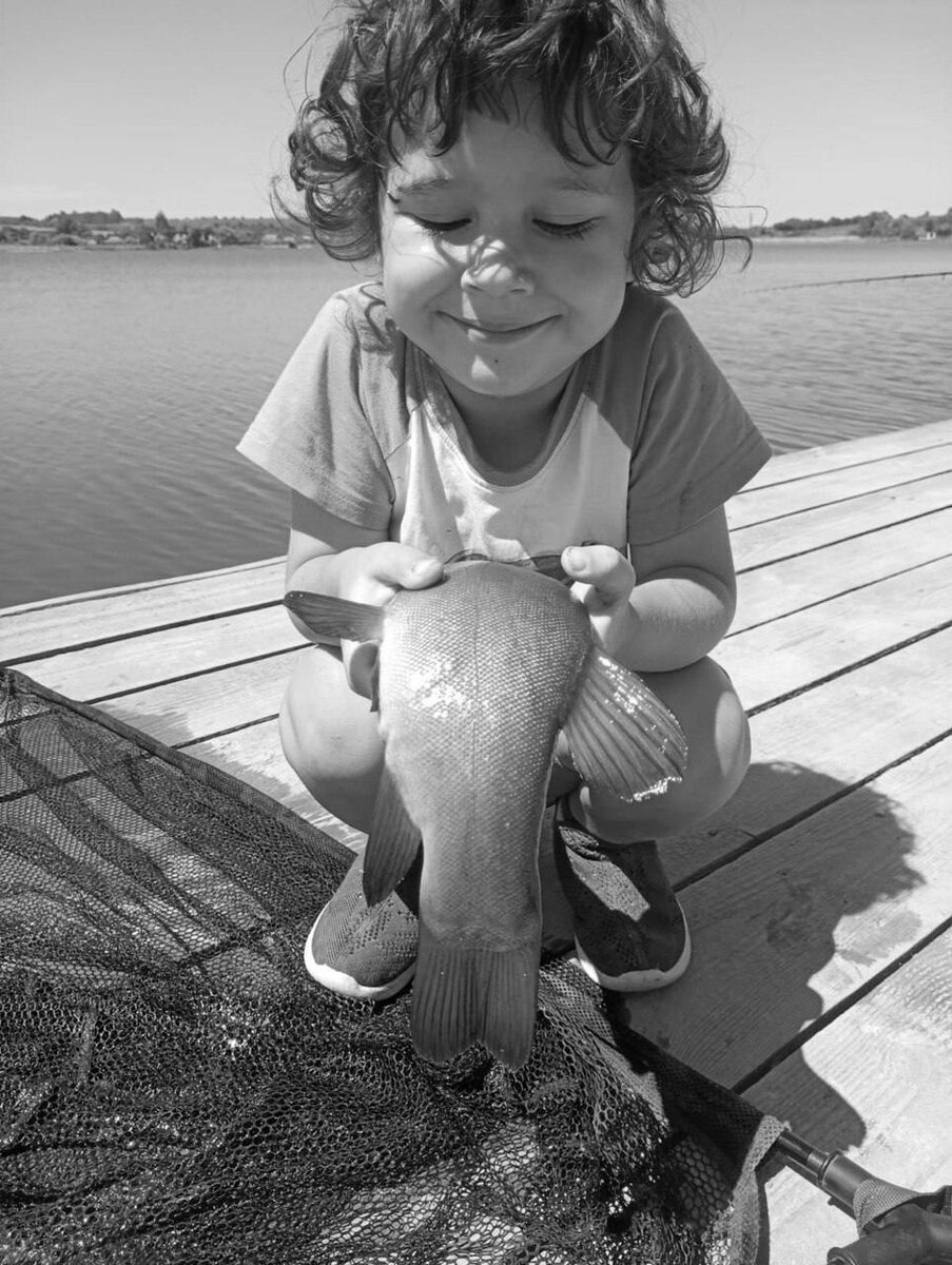 Фото: тг-канал Александра Хинштейна