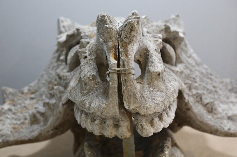    ©Агентство городских новостей "Москва"