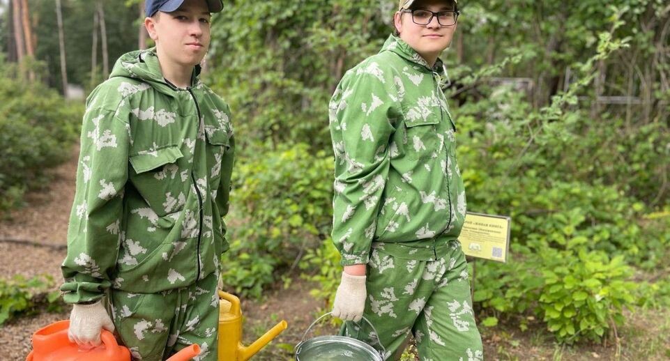    Кадровый центр Подмосковья