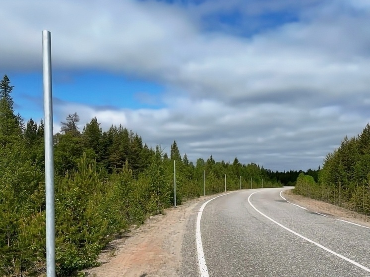     На дорогах Мурманской области появятся новые дорожные знаки. Фото: пресс-служба администрации Мурманской области.