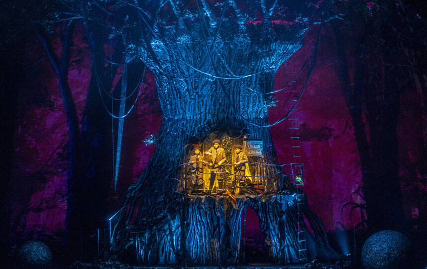    Волшебная флейтаНаташа Разина