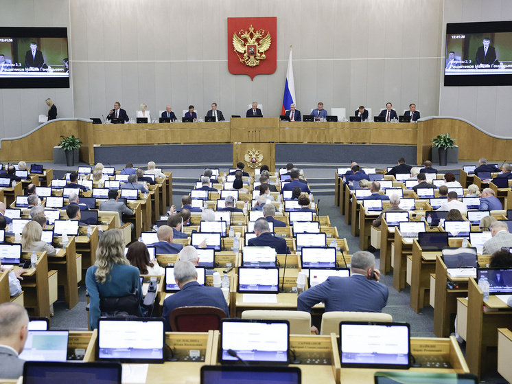 Фото: duma.gov.ru