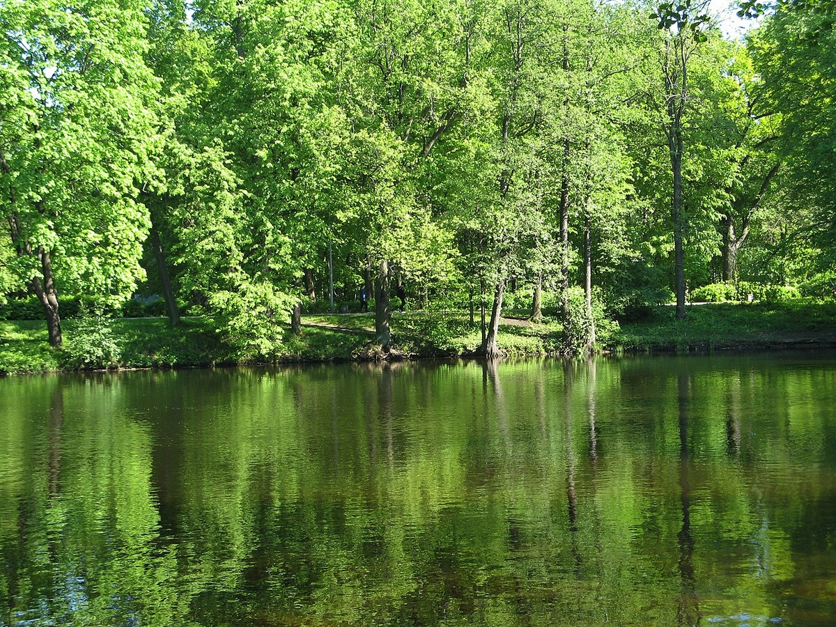 Источник: wikipedia.org Автор: Екатерина Борисова CC BY-SA 4.0