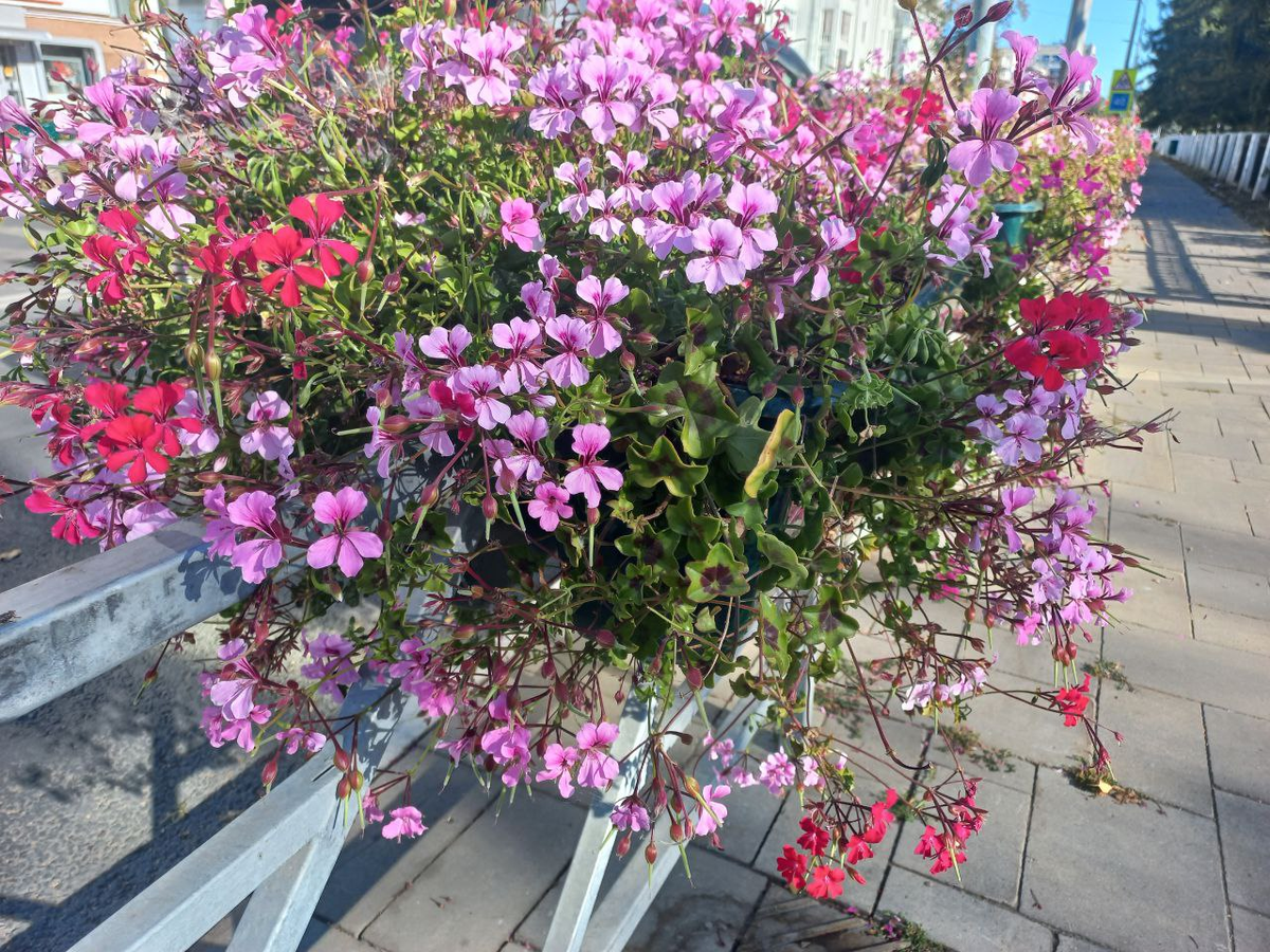 Фото автора.