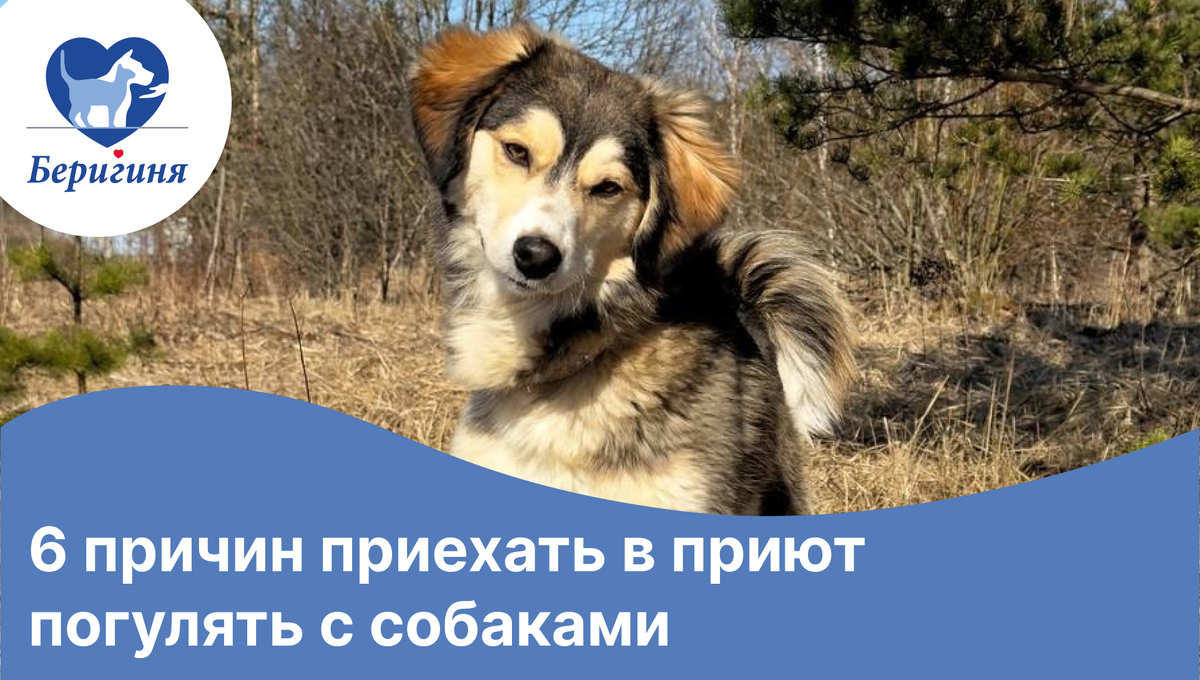 #берегиня_Алика 