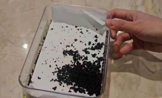    В ресторане, которым управляет г-н А, во время проверки Центральной следственной группы по борьбе с преступлениями, наносящими вред безопасности пищевых продуктов Министерства безопасности пищевых продуктов и лекарственных средств, были обнаружены муравьи.