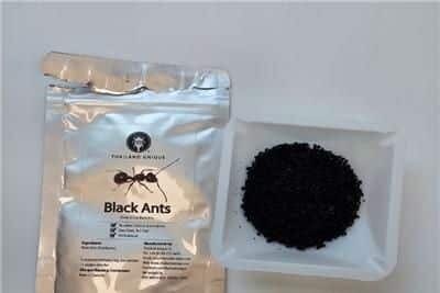    Тайские муравьи