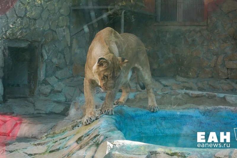    ЕАН. Архивное фото