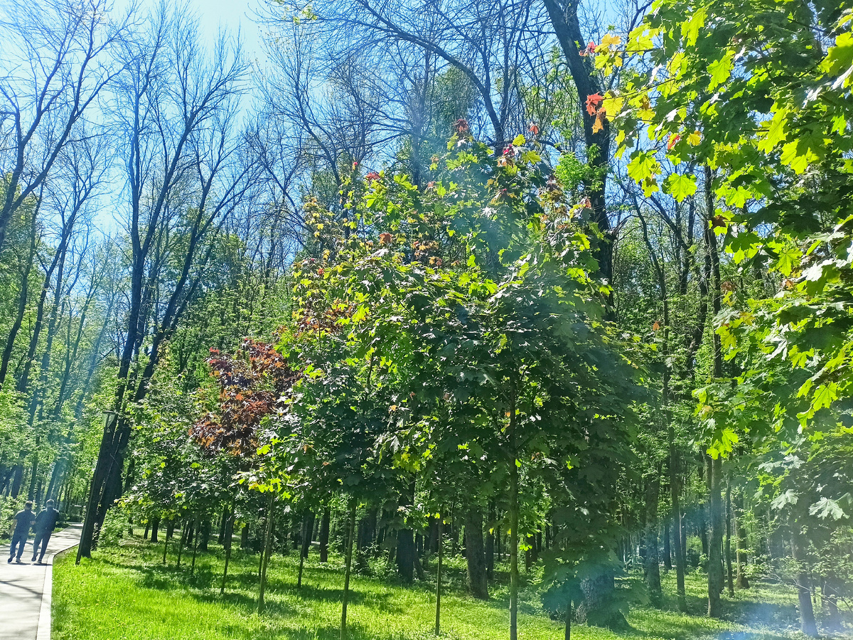 Парк "Швейцария "