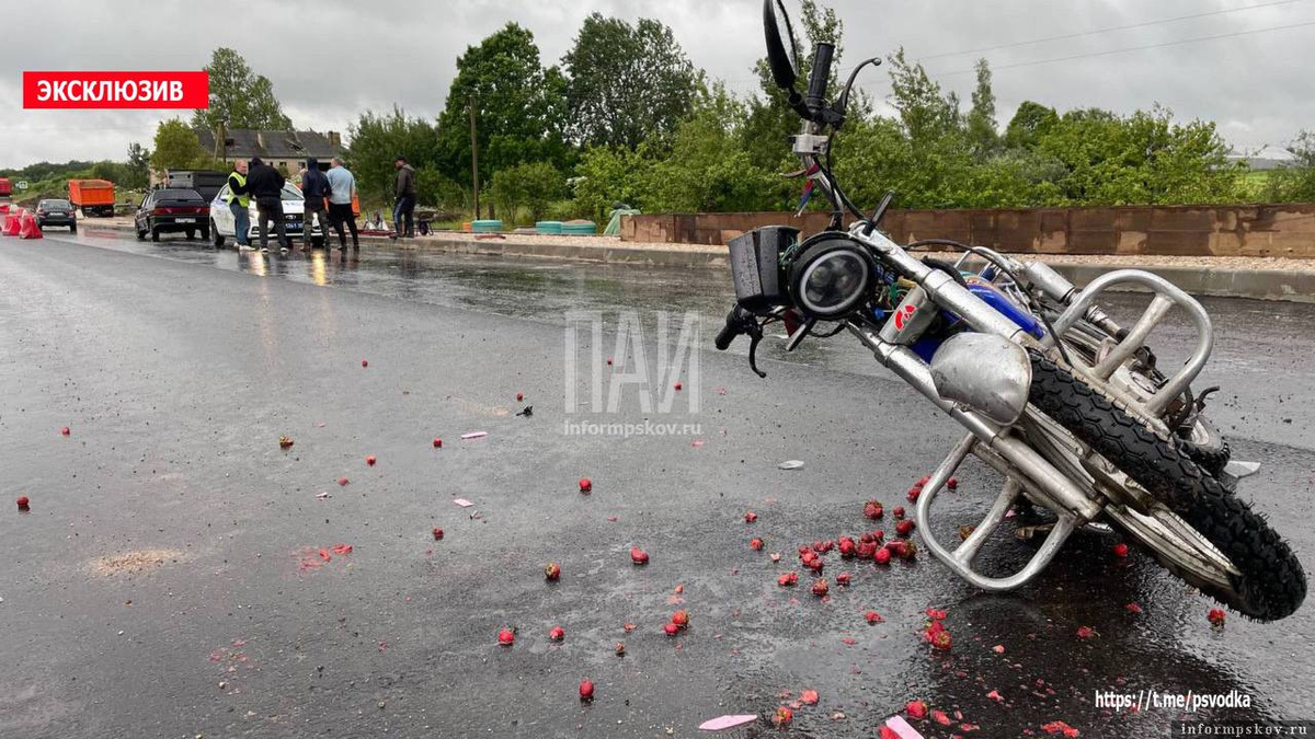 Фото здесь и далее: ПАИ