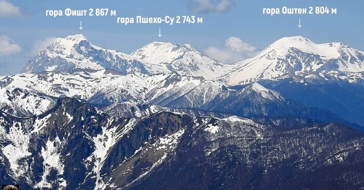 Фото с открытого источника