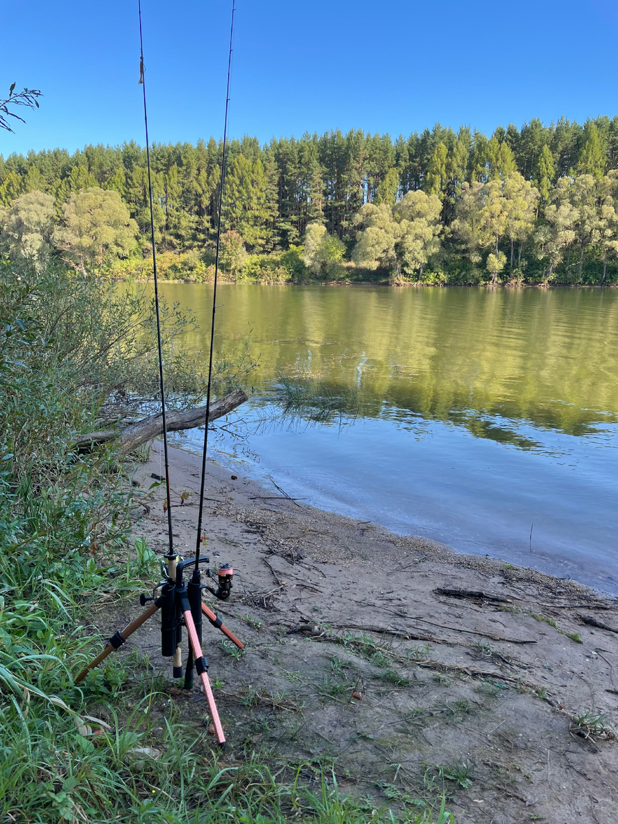 Берег Можайского водохранилища