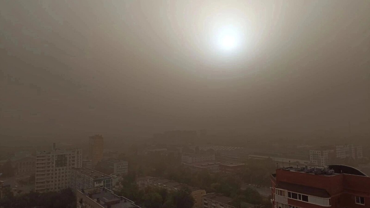     Источник: rostovgazeta.ru