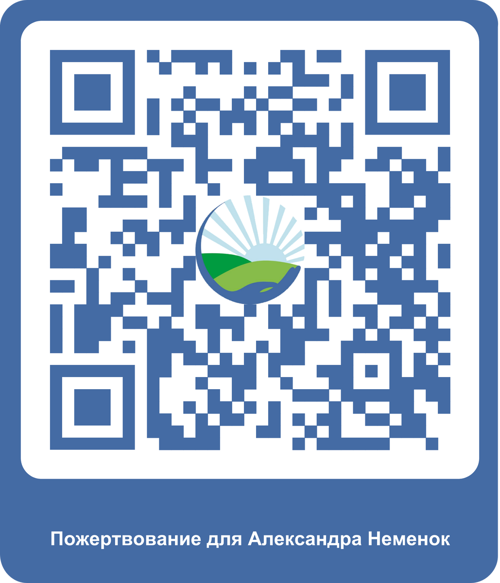 или воспользуйтесь ссылкой https://yookassa.ru/my/i/aG-cn1V3ur9k/l